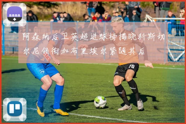 阿森纳后卫英超进球榜揭晓科斯切尔尼领衔加布里埃尔紧随其后