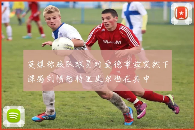 英媒称狼队球员对爱德华兹突然下课感到愤怒特里皮尔也在其中